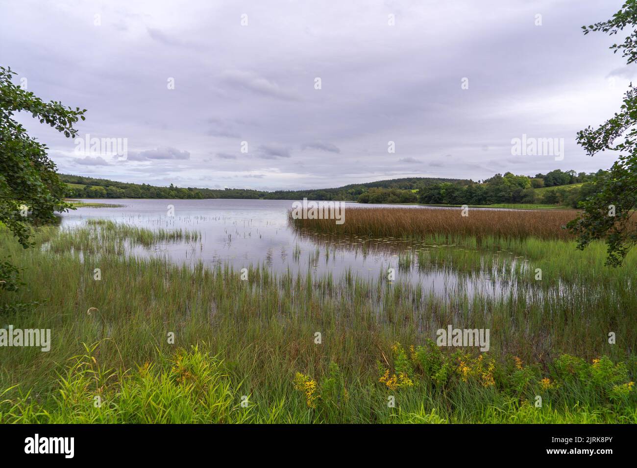 Un tranquillo lago d'acqua dolce in Irlanda. Foto Stock