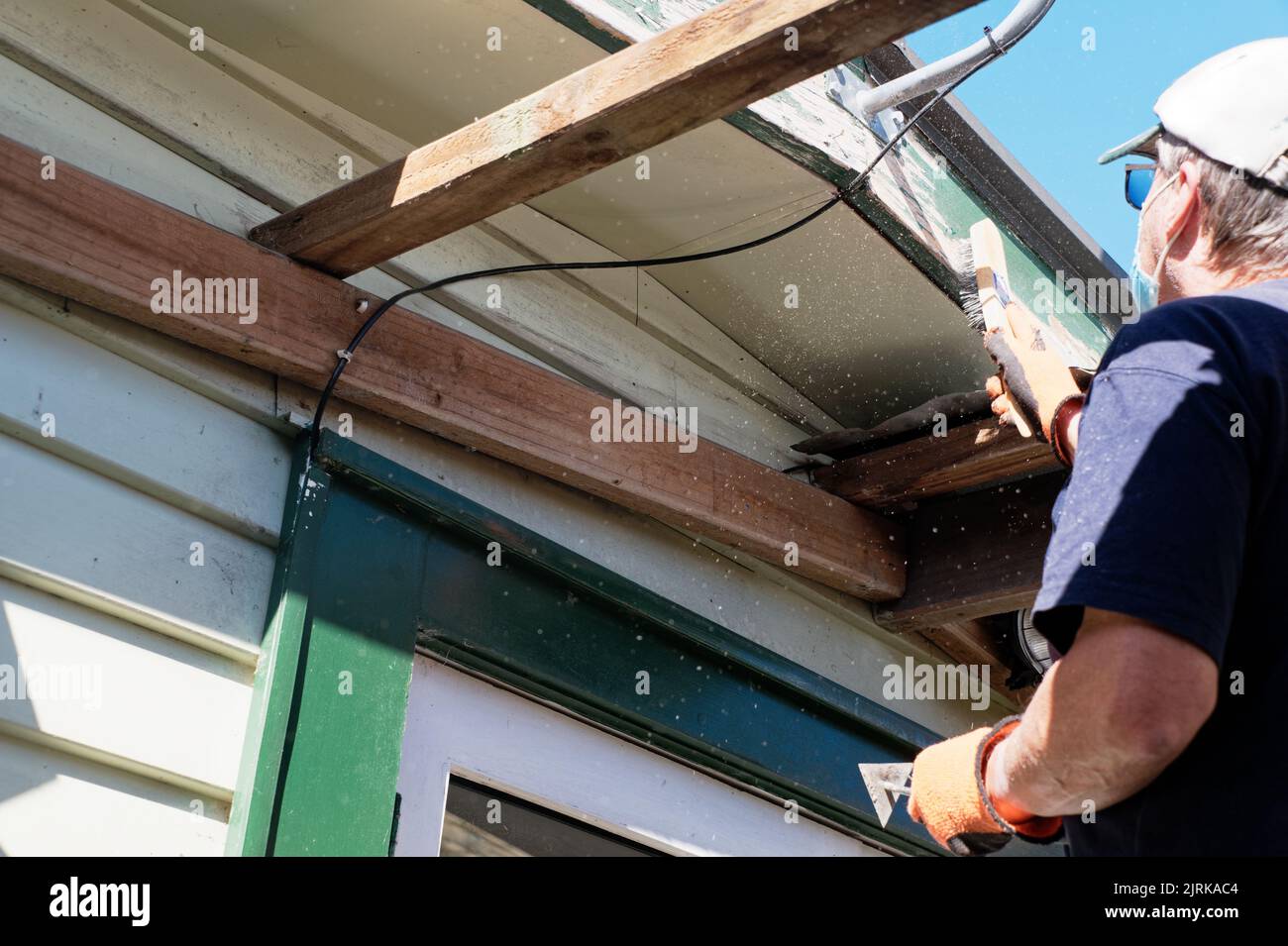 La vernice scagliante sta volando mentre un filo del handyman domestico pennelli la vernice allentata fuori di una scrigionetta su una casa del tabellone Foto Stock