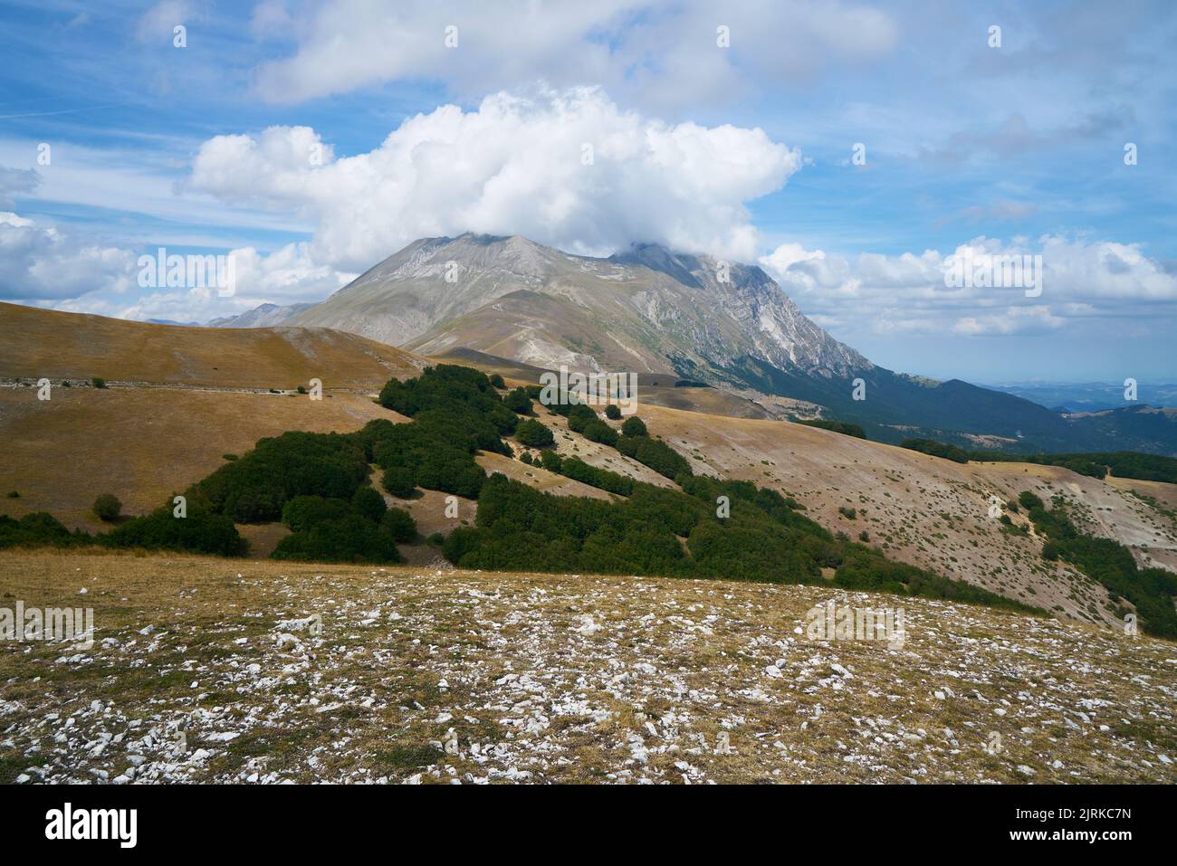 Paesaggio estivo sul sentiero della forca di Presta con sullo sfondo il Monte vettore, Parco Nazionale dei Monti Sibillini in Umbria Foto Stock