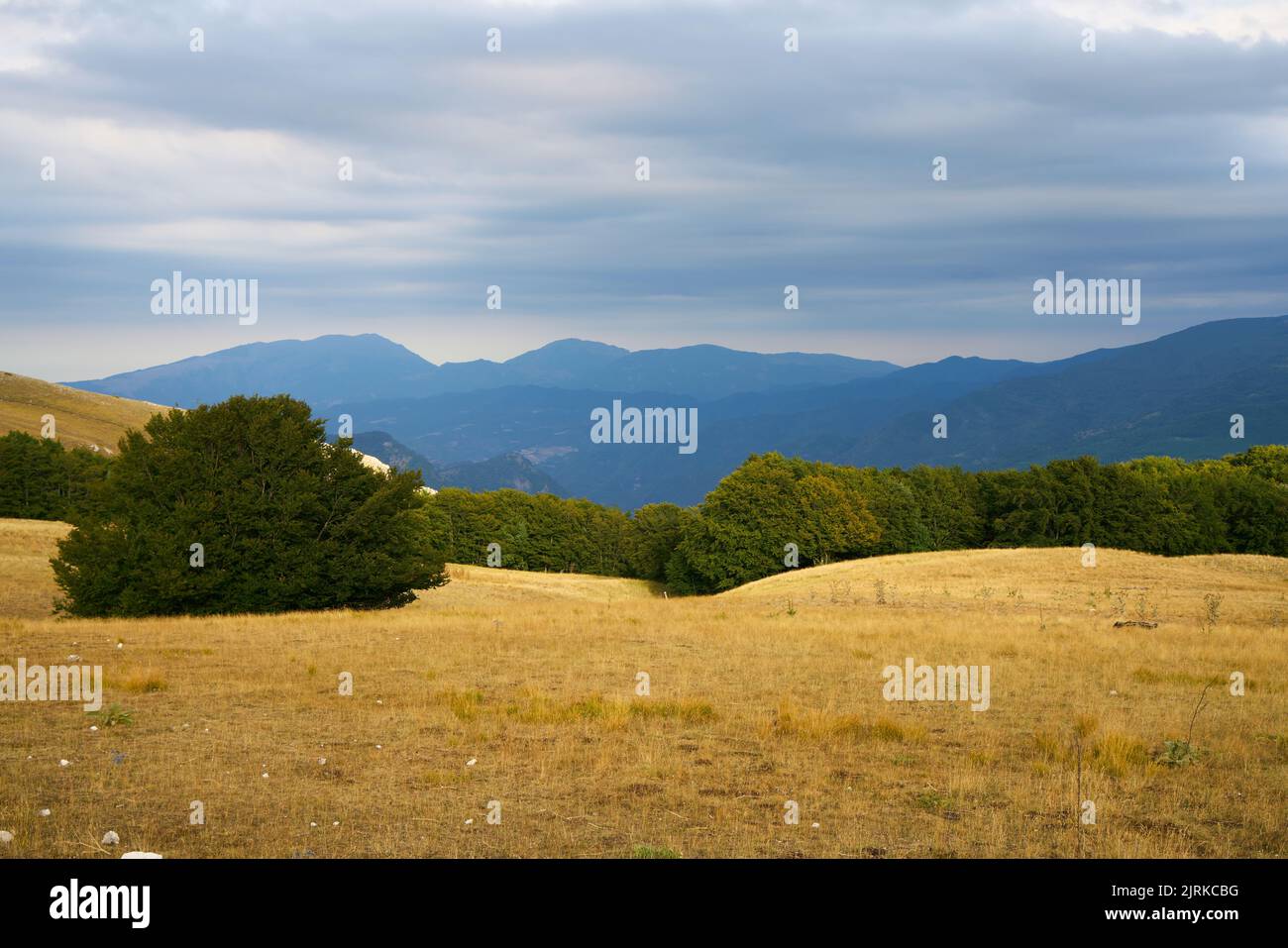 Paesaggio estivo alla forca di Presta, Parco Nazionale dei Monti Sibillini in Umbria Foto Stock