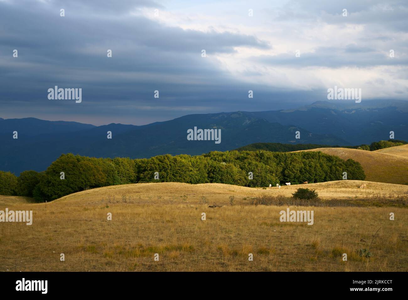 Paesaggio estivo alla forca di Presta, Parco Nazionale dei Monti Sibillini in Umbria Foto Stock