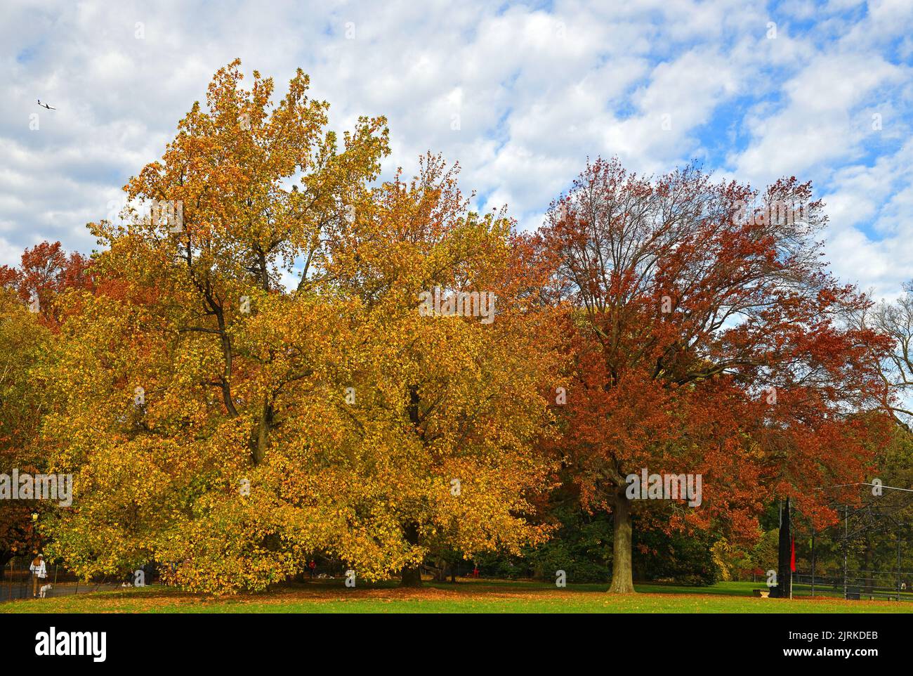 Grande prato, principalmente campo ricreativo, circondato da un passaggio ovale. Ci sono campi da baseball sul Great Lawn e campi da calcio Foto Stock