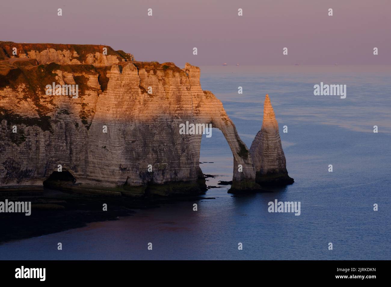 La formazione rocciosa Trunk dell'elefante a Etretat, Normandia, Costa del canale francese Foto Stock