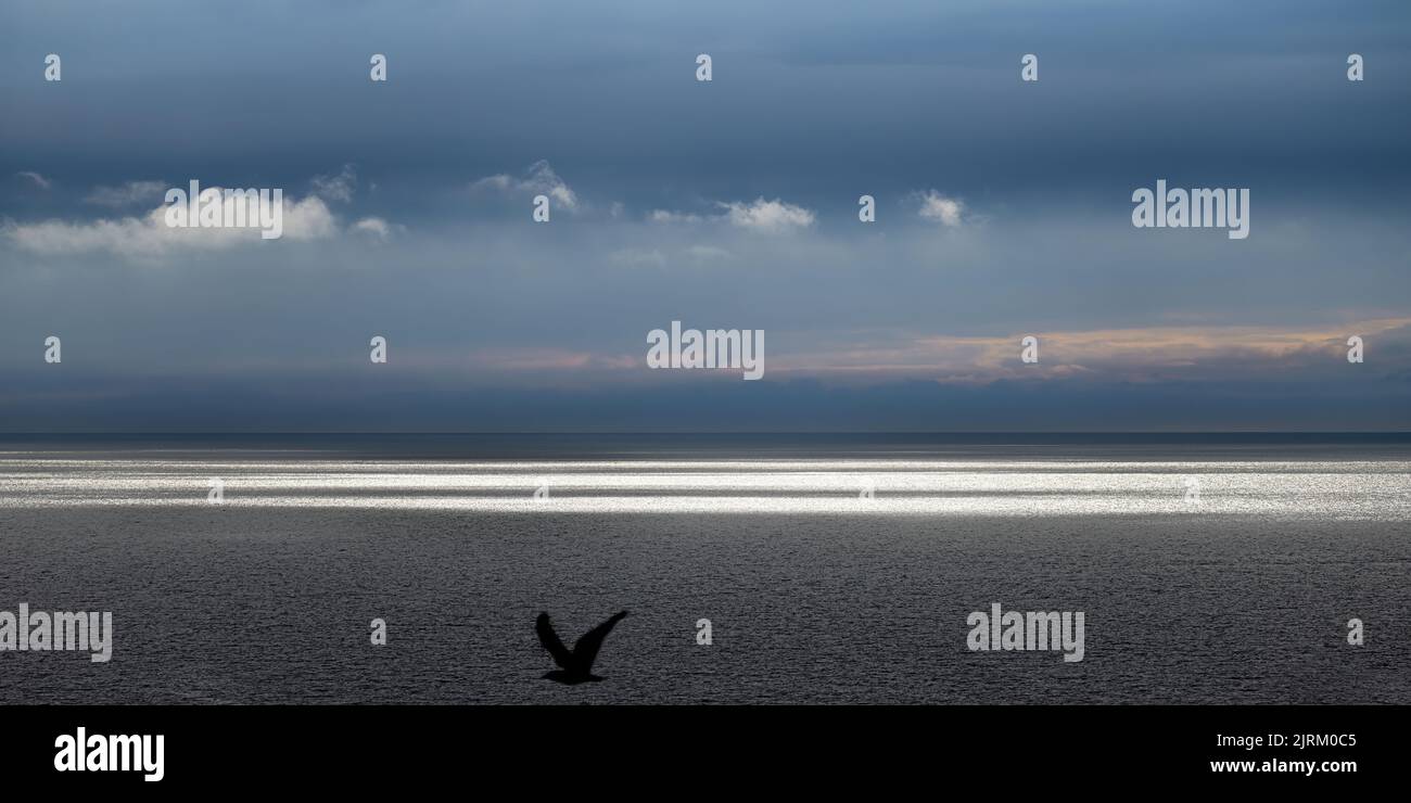 Ault Onival, le phare, la plage, Foto Stock