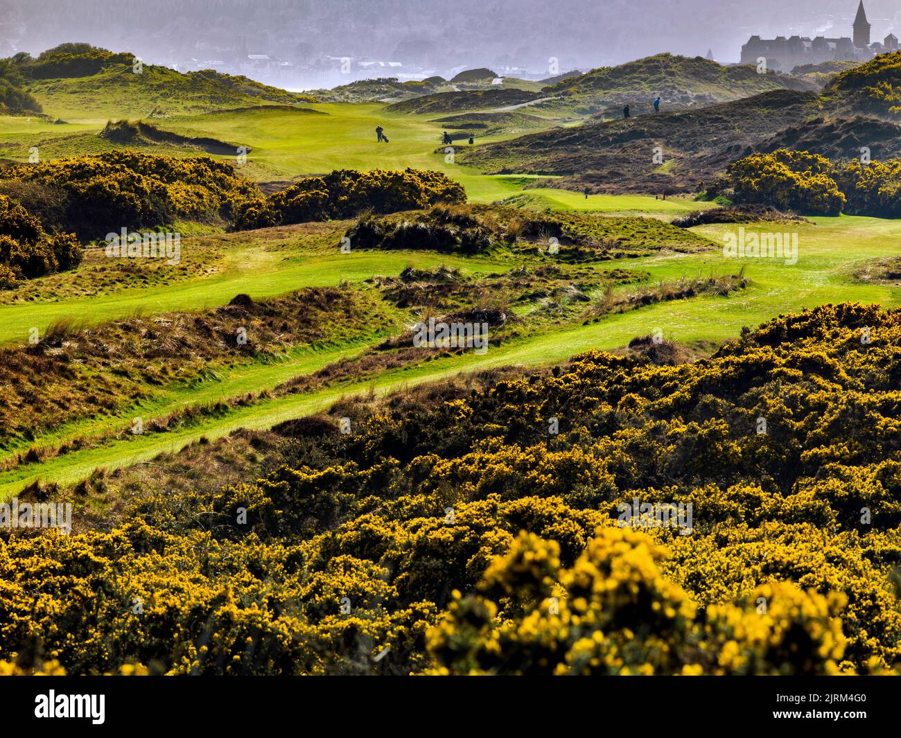 Il Royal County Down Golf Course, Newcastle, Irlanda del Nord Foto Stock