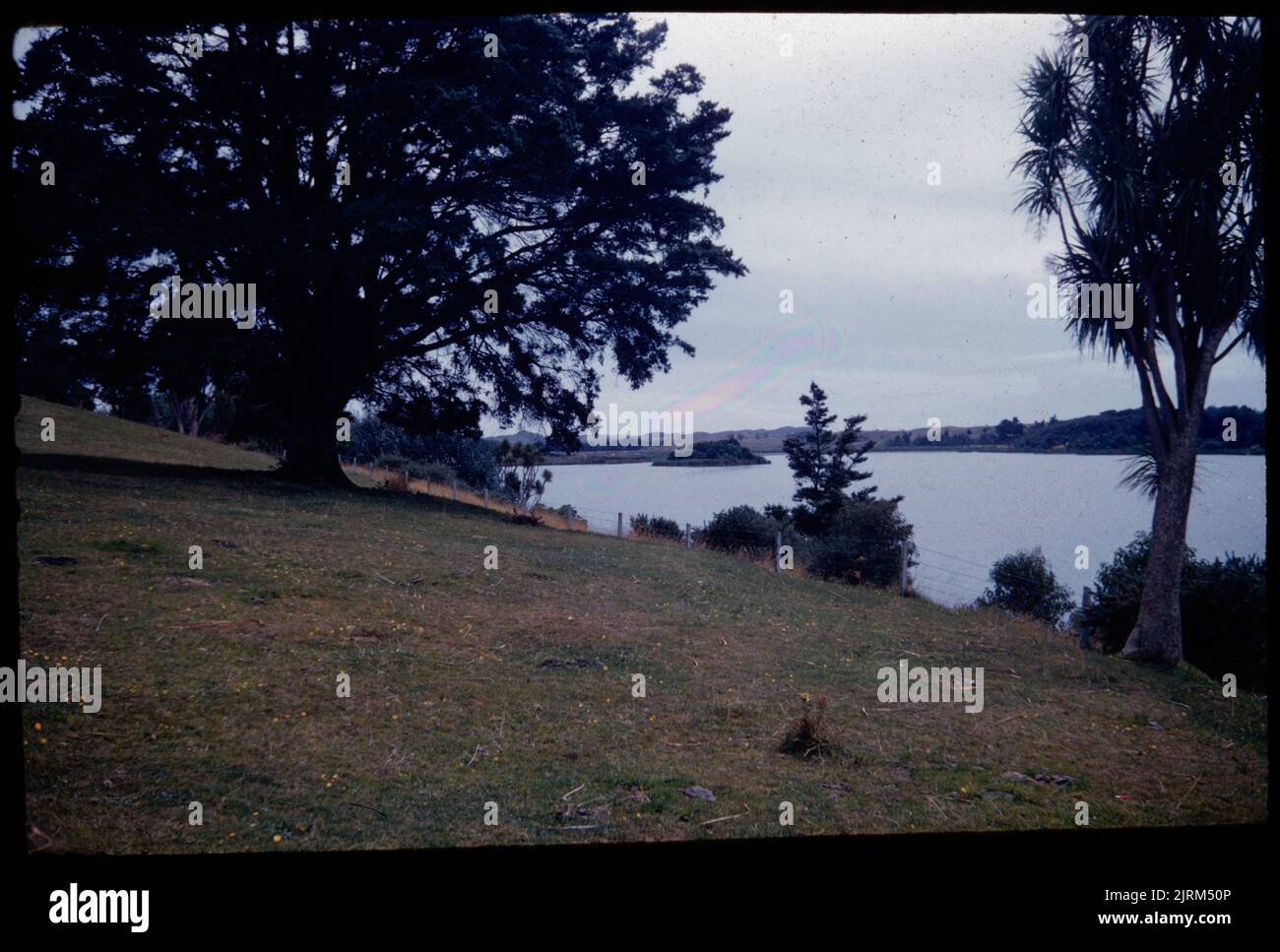 Lago Papaitonga con Papawharangi Island-Pa (costruzione artificiale), 04 marzo 1962, Isola del Nord, di Leslie Adkin. Regalo della famiglia Adkin, 1997. Foto Stock