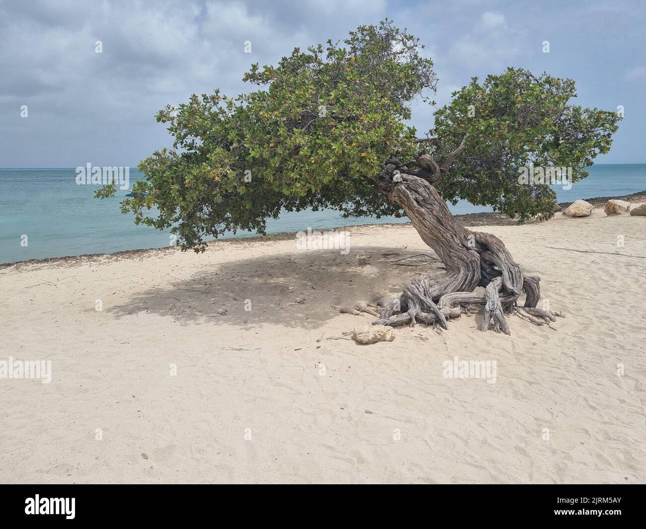 Paesaggi incredibili di Aruba vedute dell'isola di Aruba Foto Stock