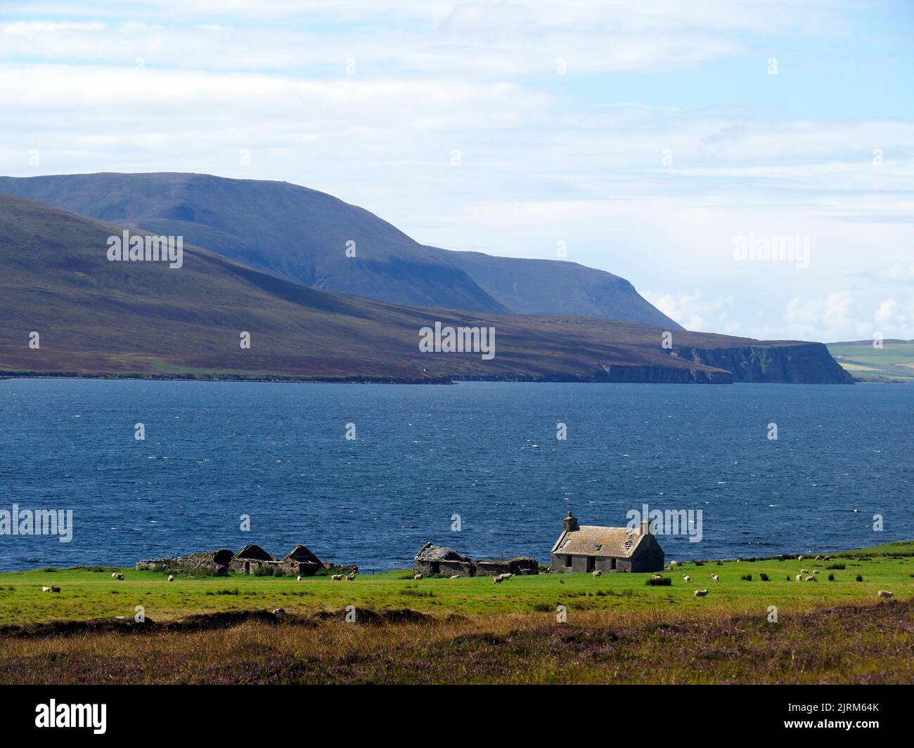 Cava, Orkney, Scozia Foto Stock