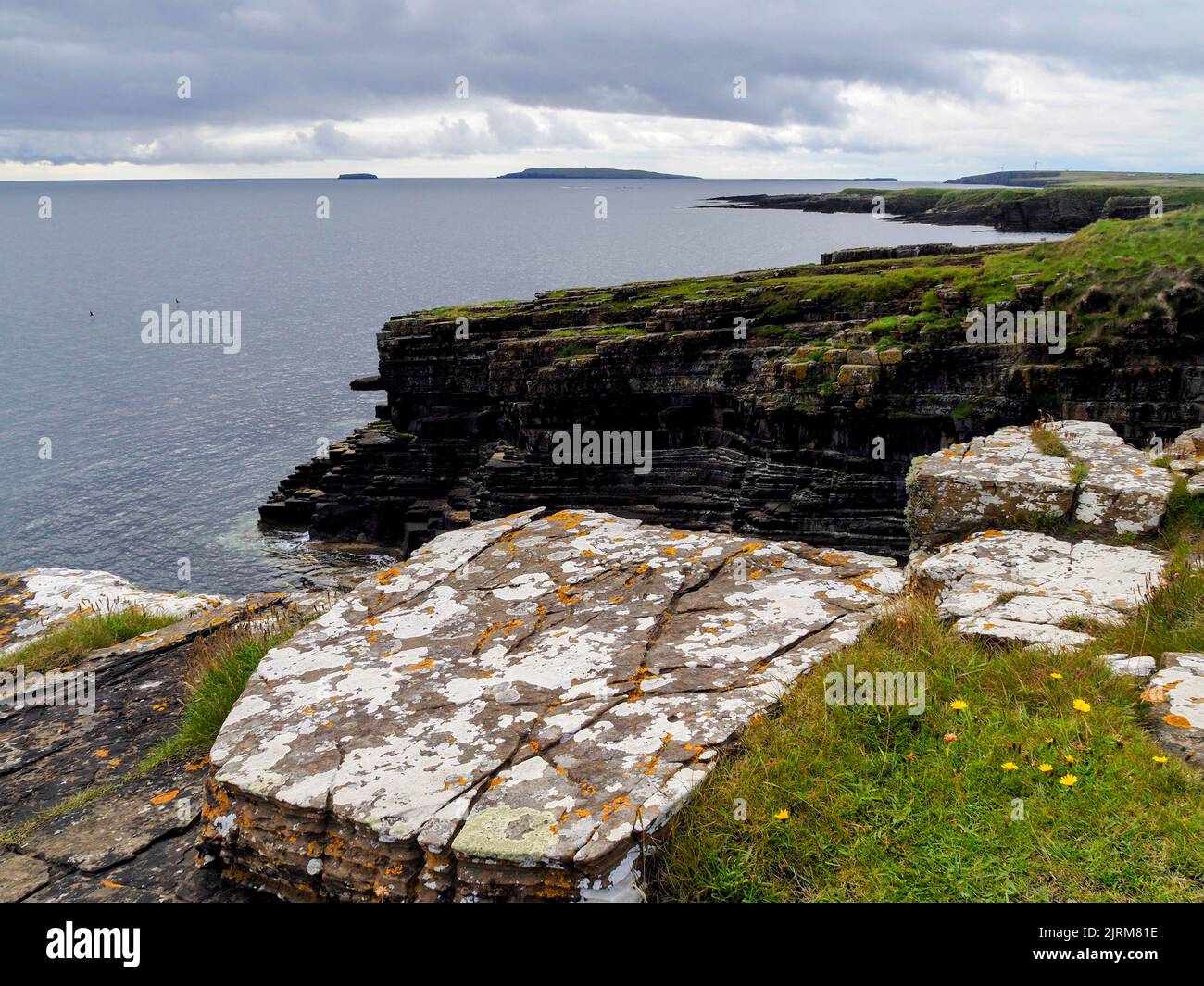 Mull Head, Orcadi con Copinsay e Cavallo di Copinsay all'orizzonte Foto Stock