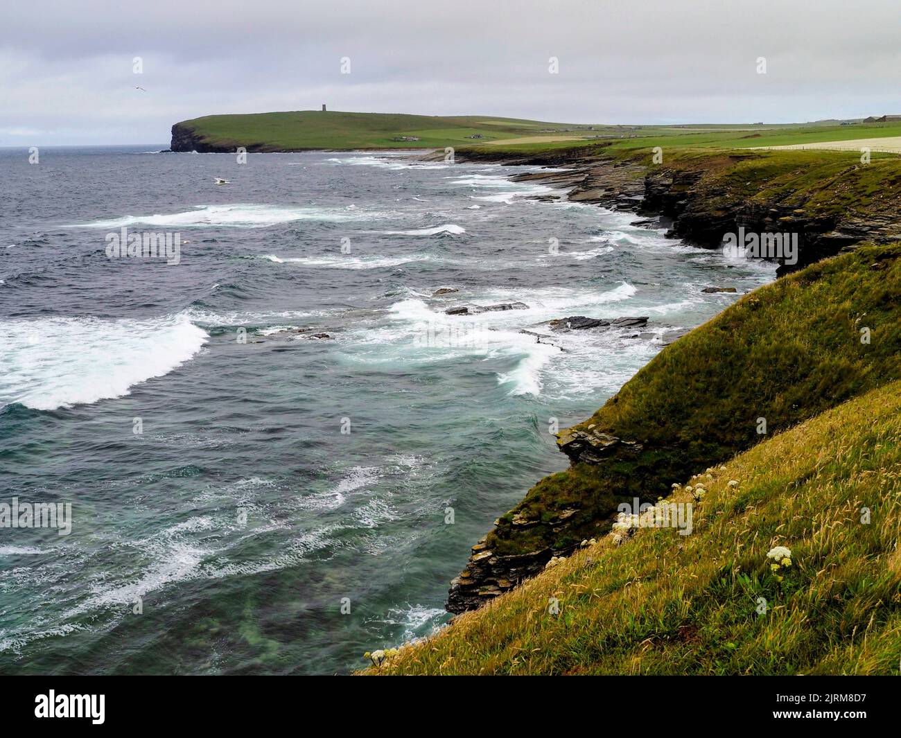 Marwick Head Foto Stock