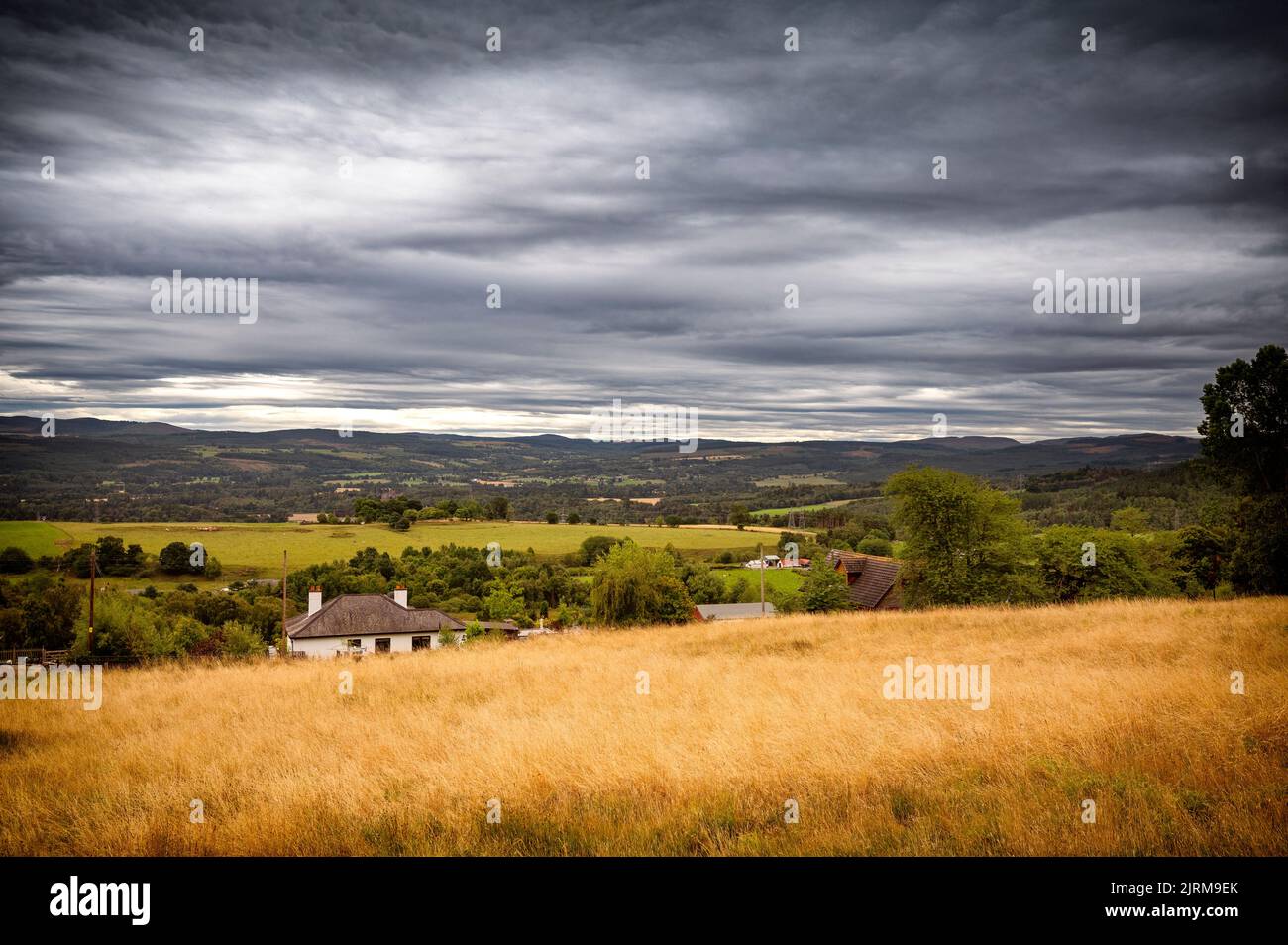 Guardando verso sud attraverso Strathglass da Upper Broallan vicino a Beauly questo pomeriggio. Foto Stock