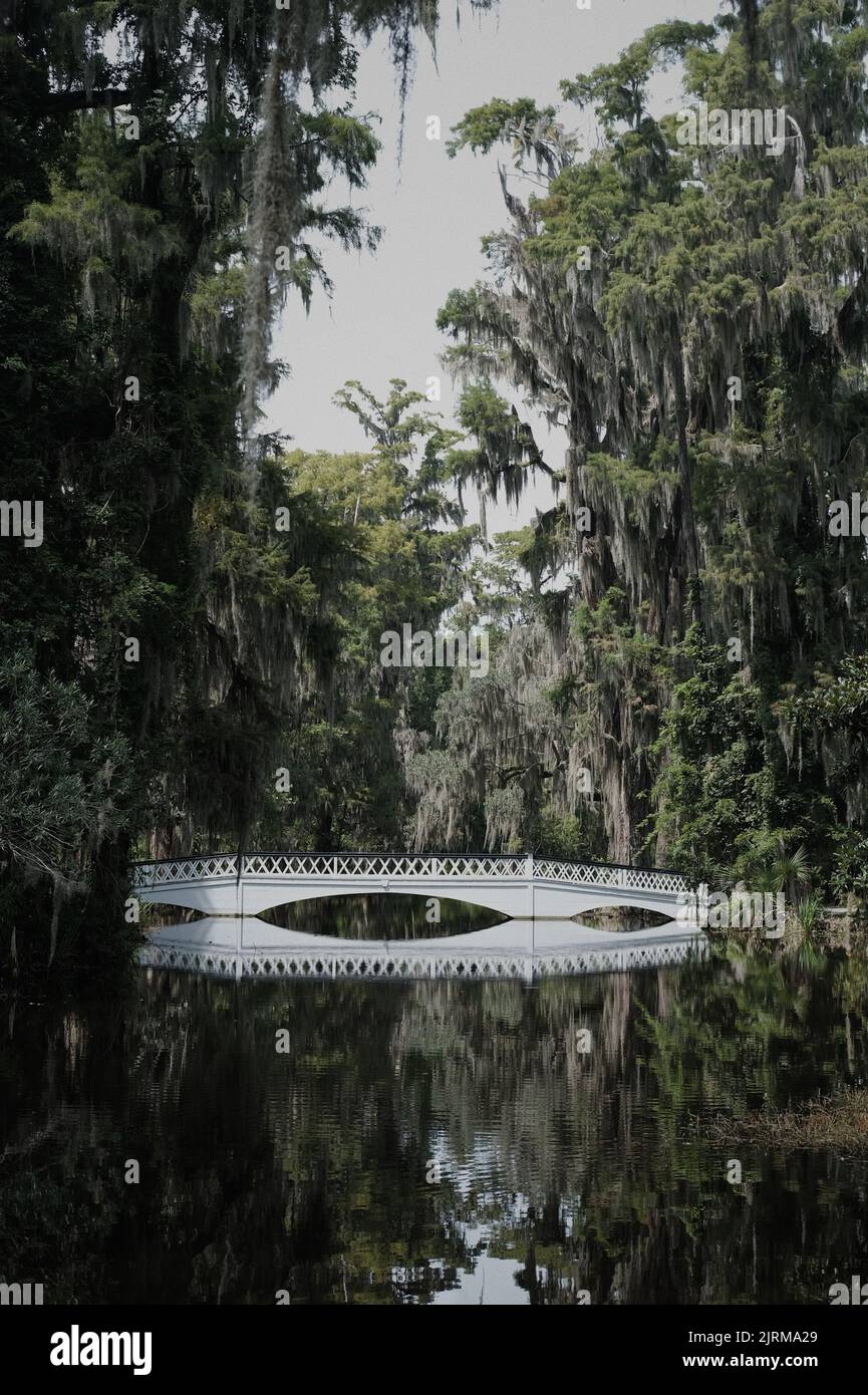 Uno scatto verticale di un ponte bianco su un fiume nella piantagione e nei giardini di Magnolia Foto Stock