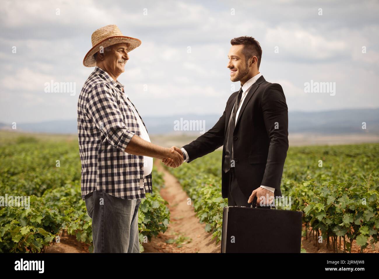 Contadino che scuote le mani con un uomo d'affari su un vigneto con scorta di vivaio d'uva Foto Stock