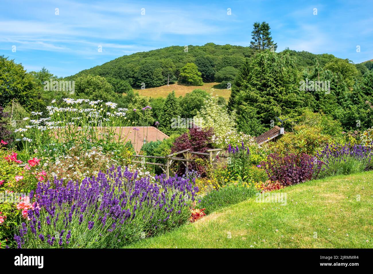 Paesaggio naturale con Helmeth Hill visto da Hazler. Shropshire, Inghilterra Foto Stock