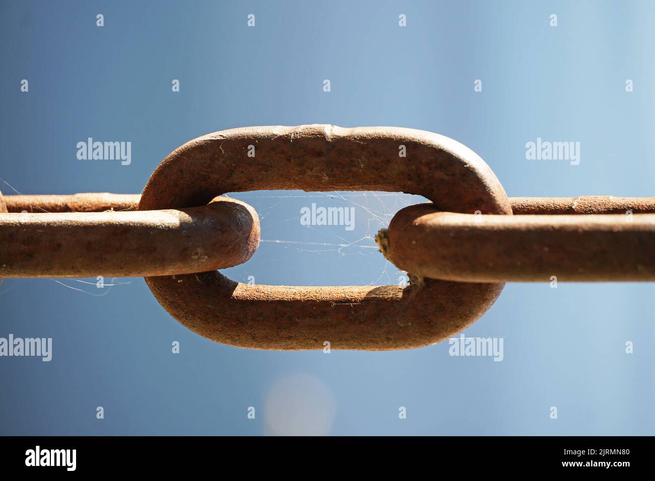Maglia di una catena in primo piano. Collegamento in metallo. Foto Stock
