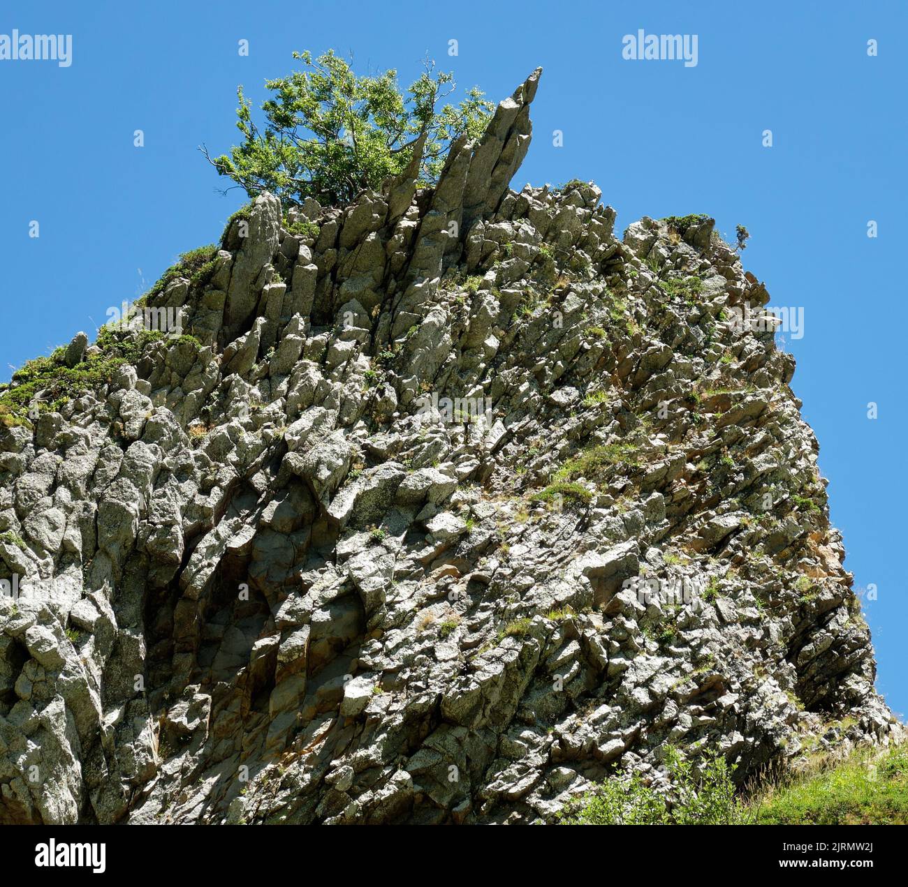 Formazione di rocce laviche basaltiche in Val de Courre su Puy de Sancy. Foto Stock