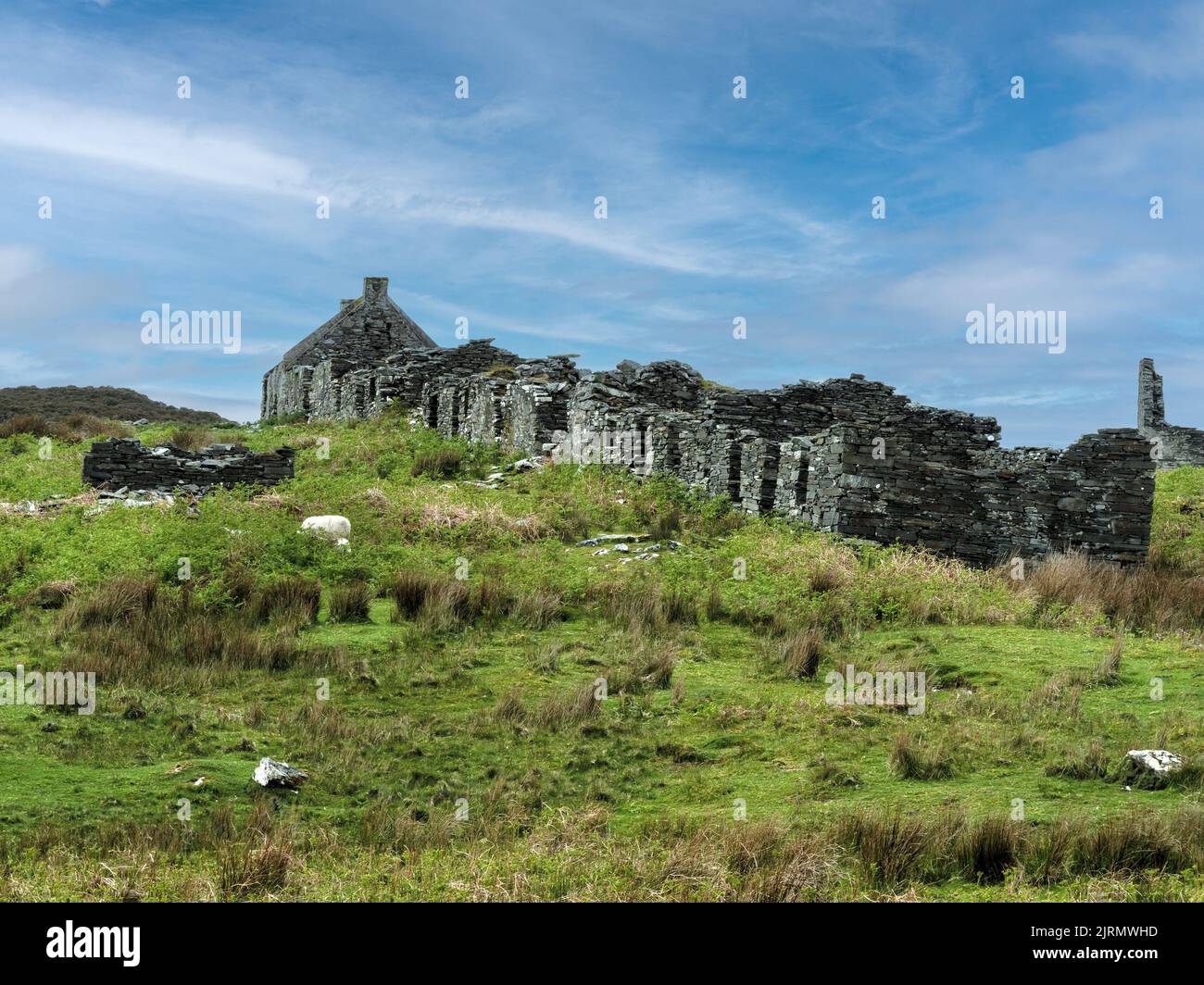 Fila di case distrutte in abbandonato insediamento di Riasg Buidhe, Isola di Colonsay, Scotland, Regno Unito. Foto Stock