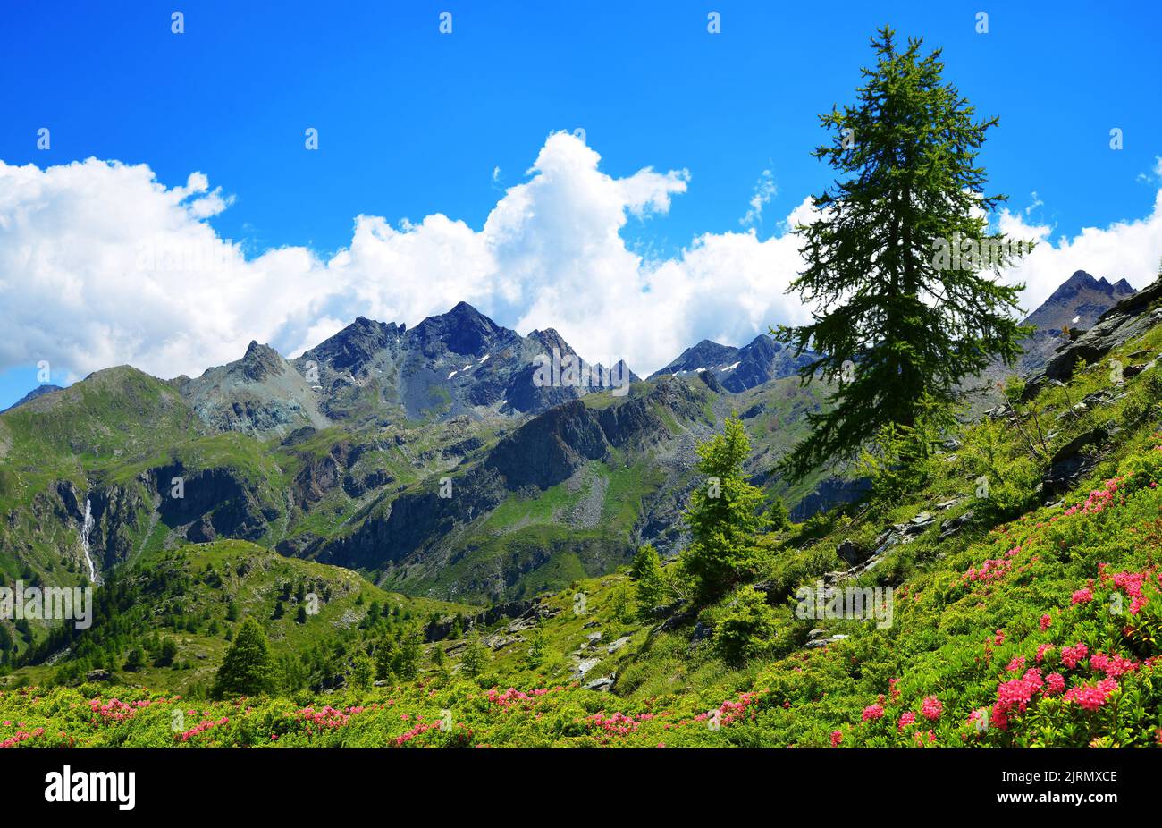 Parco Nazionale del Gran Paradiso. Valle d'Aosta, Italia. Bel paesaggio di montagna in giornata di sole. Foto Stock