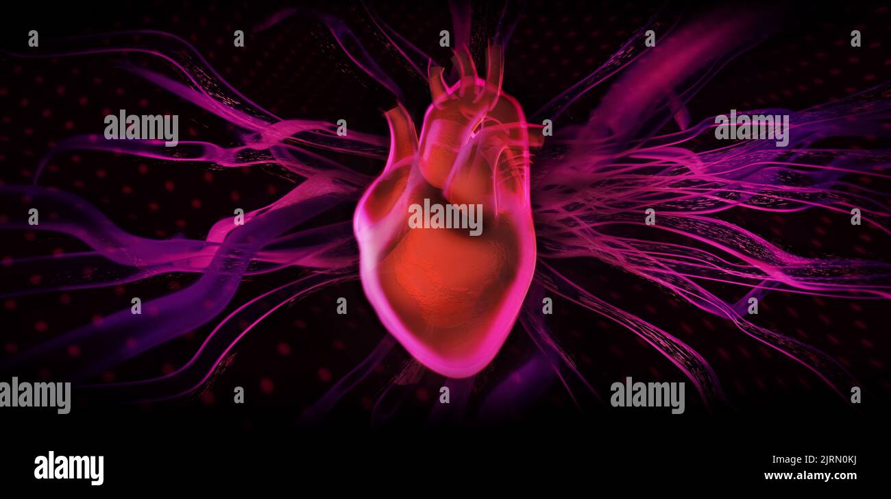 Cuore, immagine di visualizzazione grafica 3D. Concetto di modello di rendering medico, con un'estetica al neon moderna Foto Stock