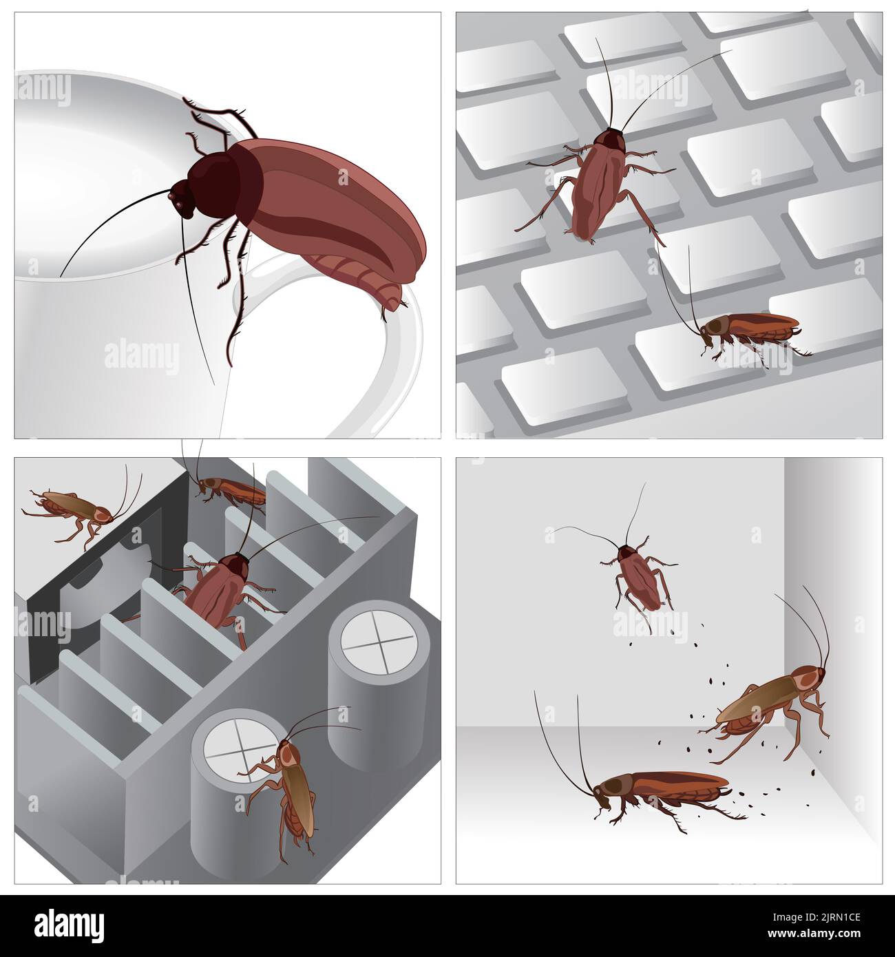 Un diagramma vettoriale a quattro griglie di scarafaggi che camminano su diverse superfici Illustrazione Vettoriale
