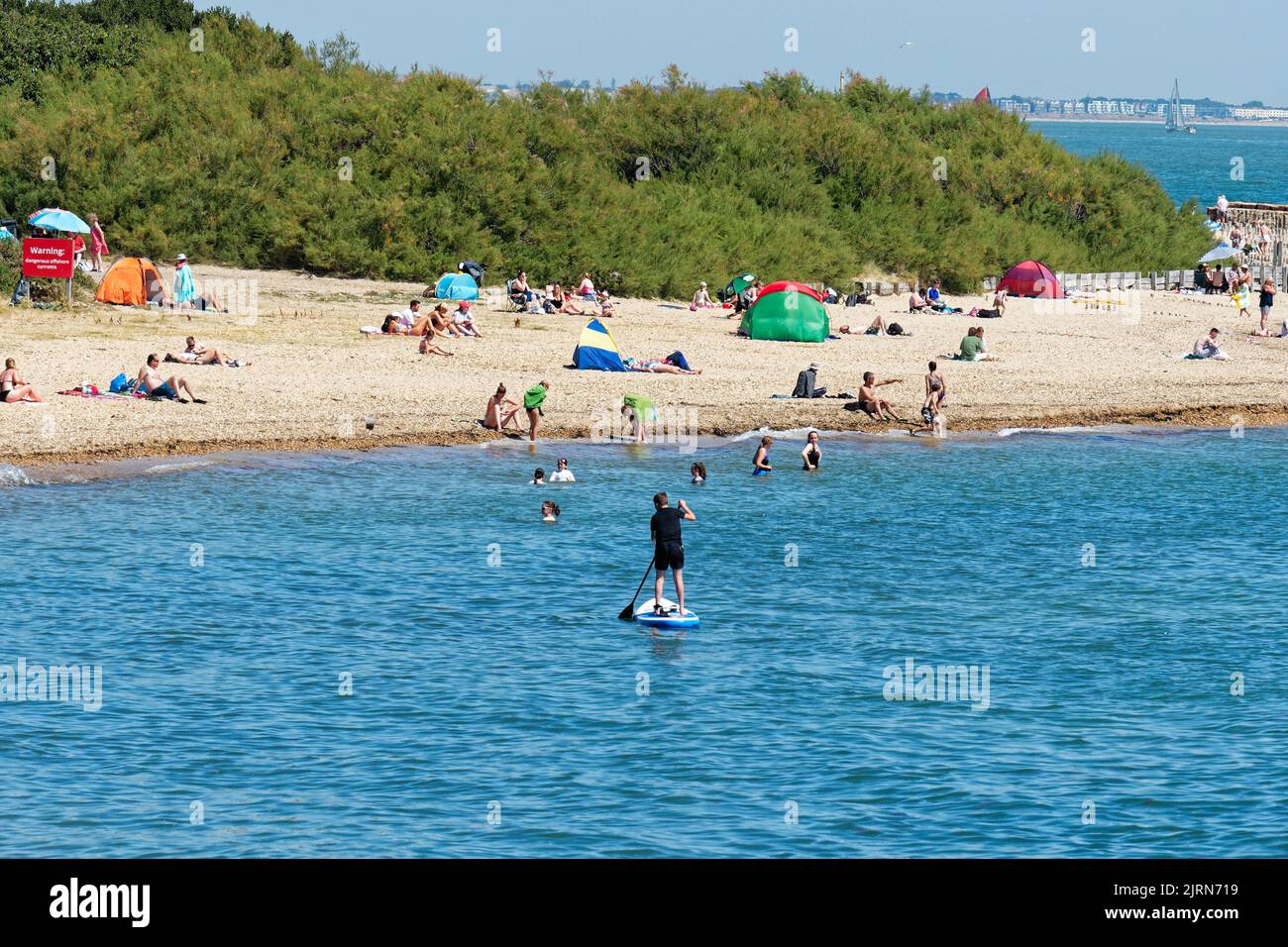 Folle sulla spiaggia del parco di campagna di Lepe in un giorno caldo e soleggiato d'estate, Hampshire Inghilterra Regno Unito Foto Stock