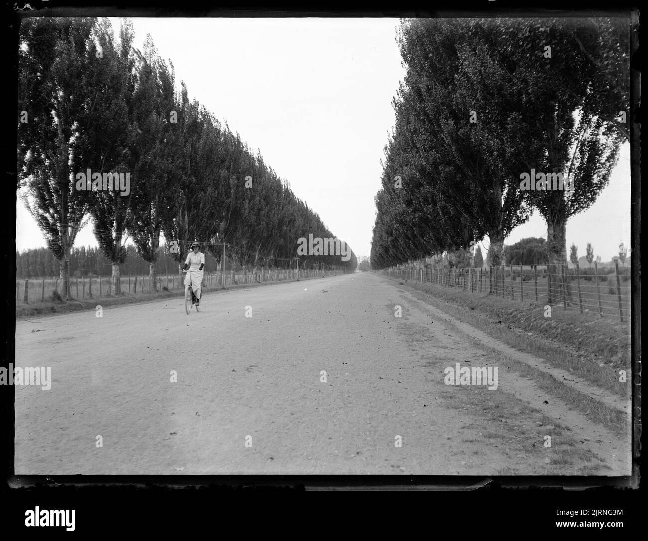 Nel viale del pioppo, Pakowai Road , 05 marzo 1914, di Leslie Adkin. Dono della tenuta di famiglia G. L. Adkin, 1964. Foto Stock