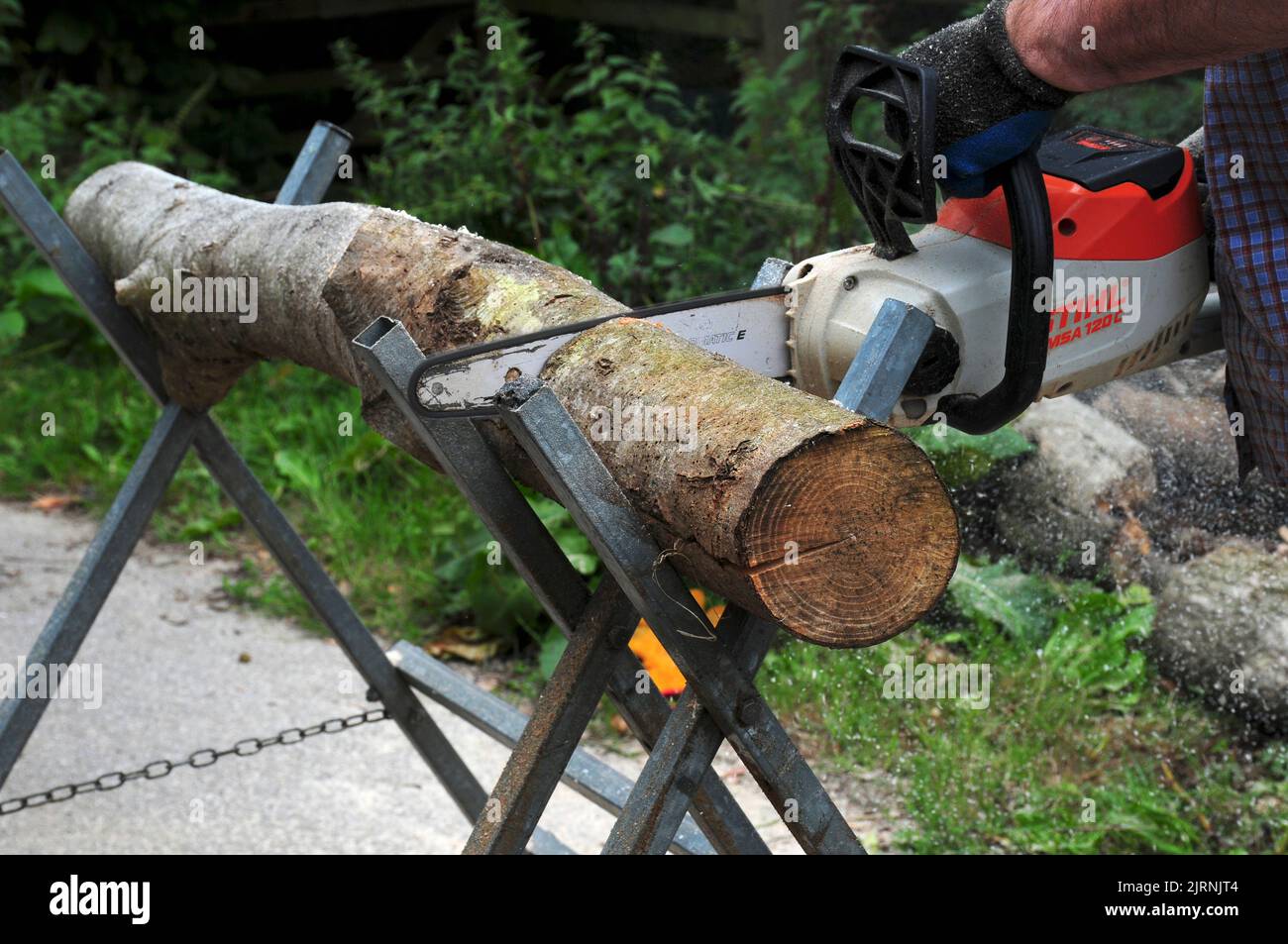 Taglio tronchi in preparazione per l'inverno. Foto Stock