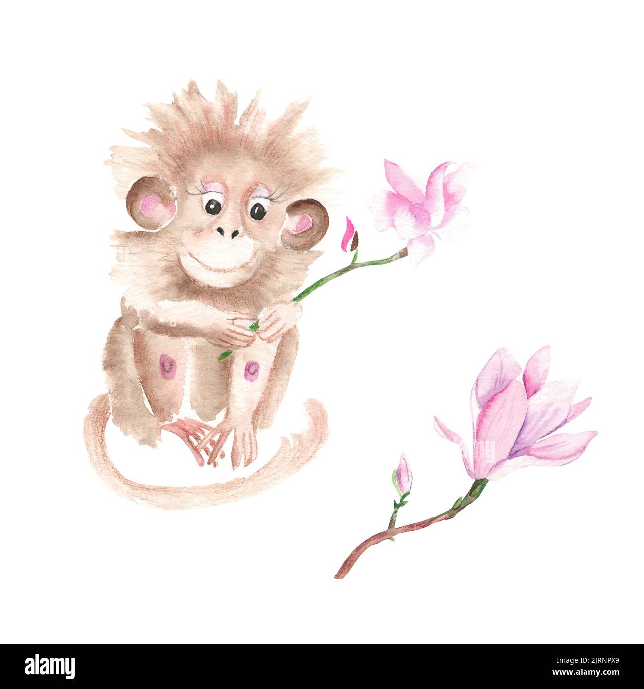 Scimmia carina e magnolia ramo isolato su sfondo bianco. Illustrazione disegnata a mano con acquerello. Perfetto per biglietti e poster per bambini, stampe di abiti Foto Stock