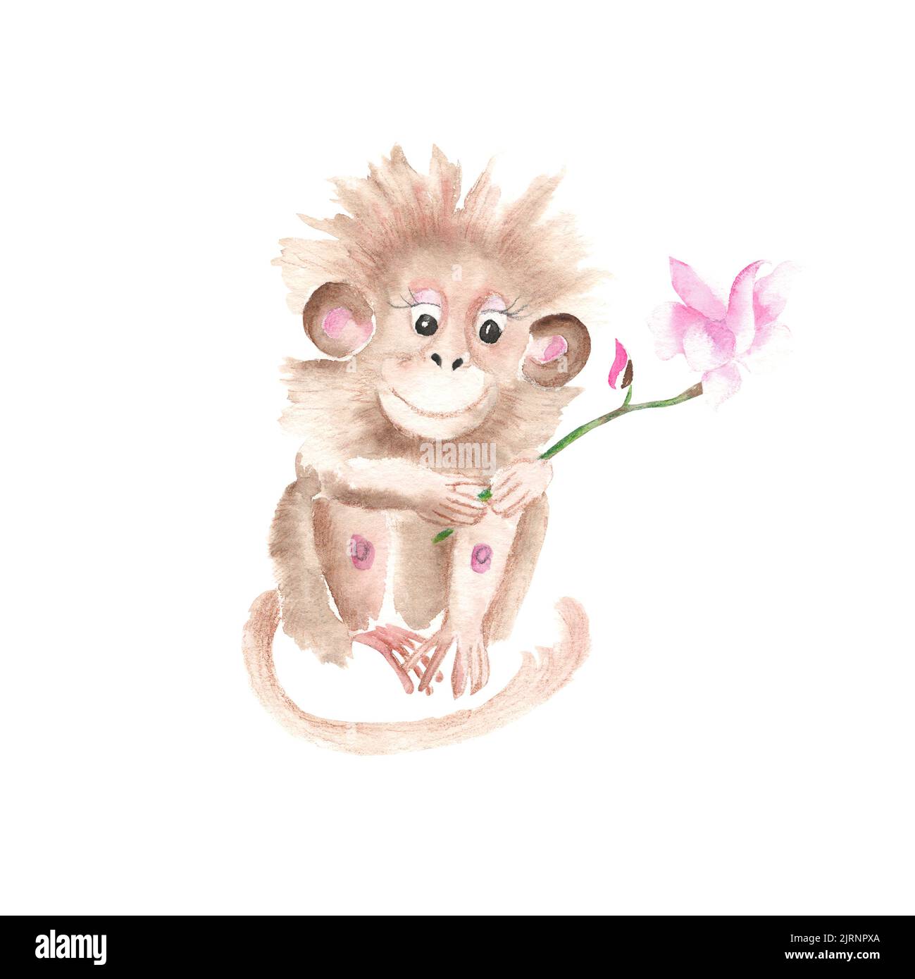 Scimmia carina con fiore magnolia isolato su sfondo bianco. Illustrazione disegnata a mano con acquerello. Perfetto per biglietti e poster per bambini, stampe di abiti Foto Stock