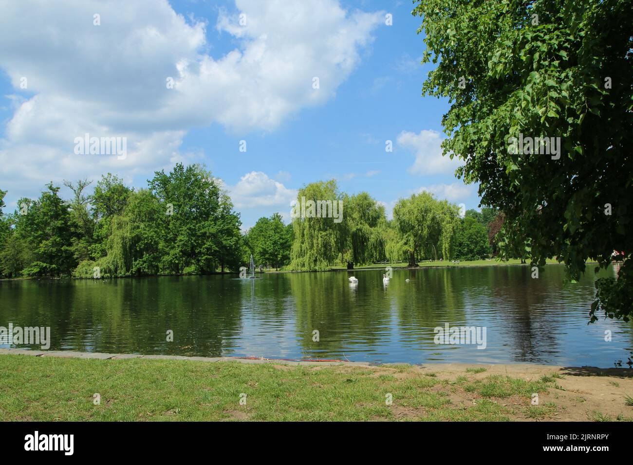 L'area relax e attività parco a Praga chiamato 'Stromovka' (parco degli alberi) con le sue belle aree in erba, stagni e sentieri. Attrazione per la gente del posto An Foto Stock