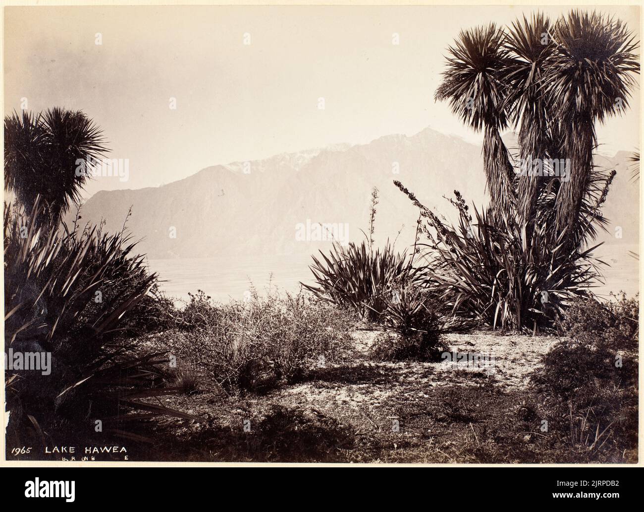 Lago Hawea, 1870-1880s, Hawea, Lago, di Burton Brothers. Foto Stock