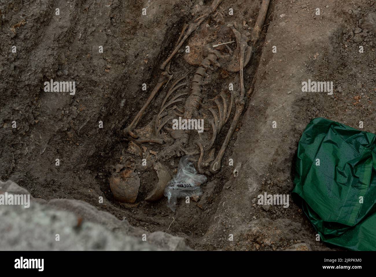 Madrid, Spagna. 25th ago, 2022. (NOTA PER I REDATTORI: L'immagine raffigura la morte) rimane di un corpo visto durante l'esumazione. L'Associazione della Commissione per la verità di San Sebastián de los Reyes e la Società della Scienza di Aranzadi hanno iniziato a scavare una delle due tombe di Colmenar Viejo, nella Comunità di Madrid, dove i corpi di 107 uomini e di una donna uccisi dalle forze di Franco nel 1939 sono stati buttati via. (Foto di Guillermo Gutierrez/SOPA Images/Sipa USA) Credit: Sipa USA/Alamy Live News Foto Stock