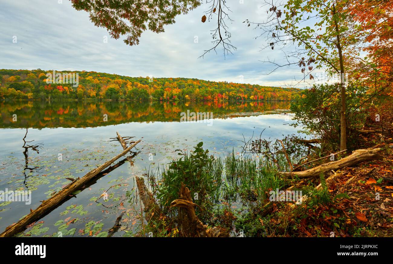 Magnifica vista del parco autunnale con foglie colorate e riflessi Foto Stock