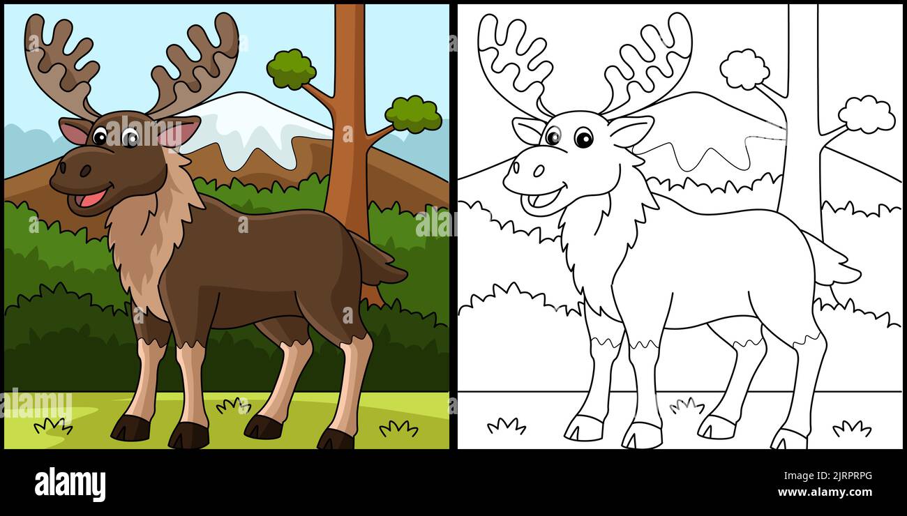 Moose Animal Coloring pagina colorata Illustrazione Illustrazione Vettoriale