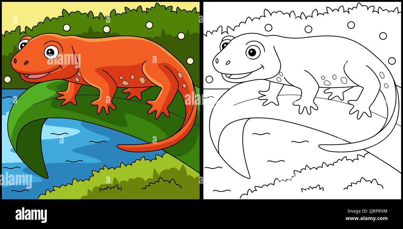 Nuova pagina di colorazione animale Illustrazione colorata Illustrazione Vettoriale