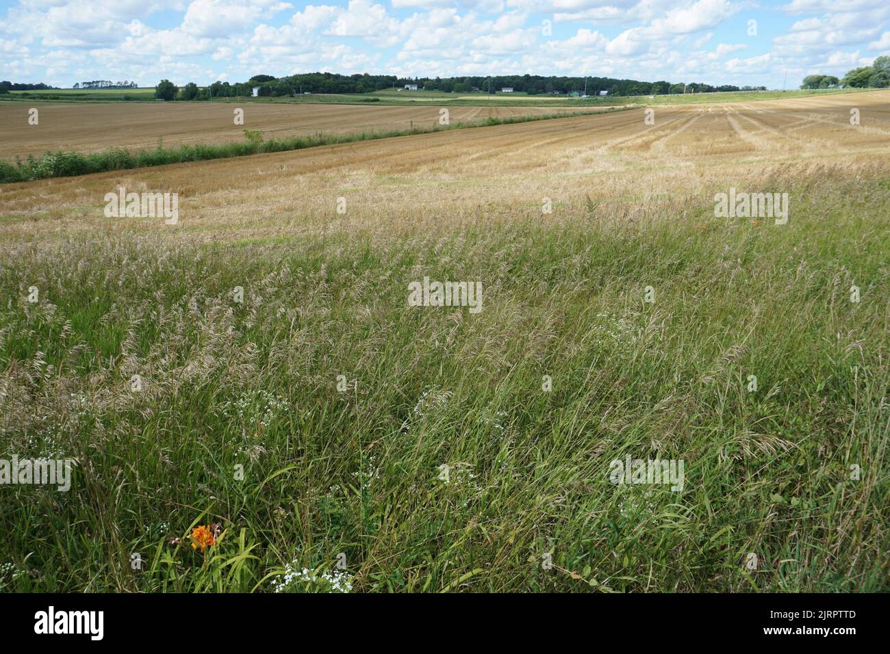 Trailway e i campi al di fuori del White River state Trail a Burlington, Wisconsin. Foto Stock