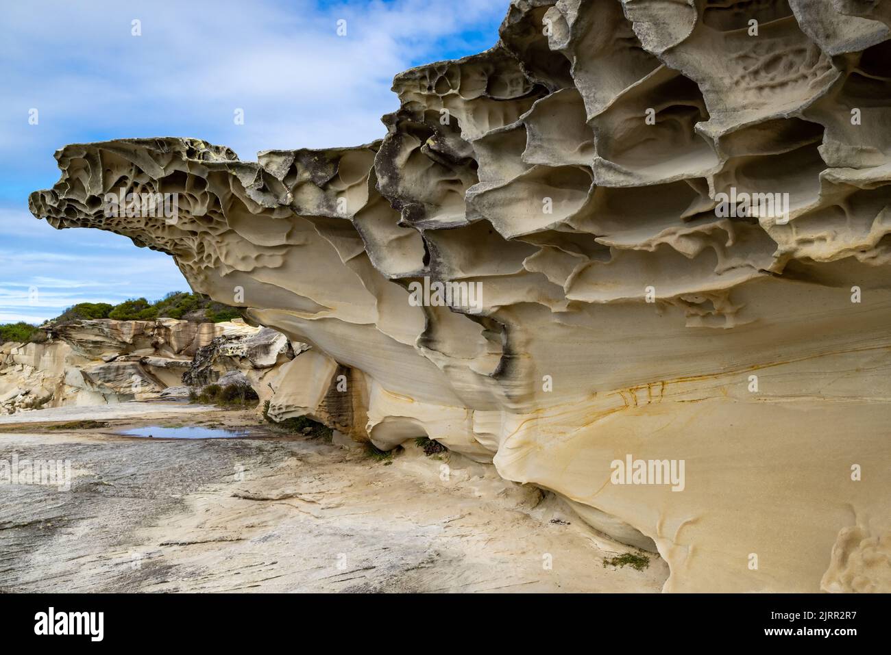 Sandstone Weathering lungo le scogliere del Malabar National Park, Sydney Australia Foto Stock