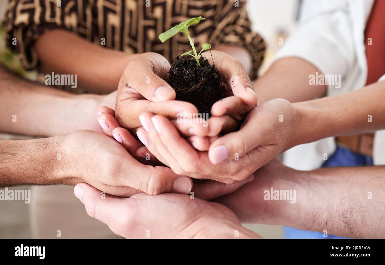 Economia verde, sostenibilità piante mani e crescita globale del lavoro di squadra con speranza, aiuto e fiducia per il successo della terra, comunità futura e ambiente Foto Stock