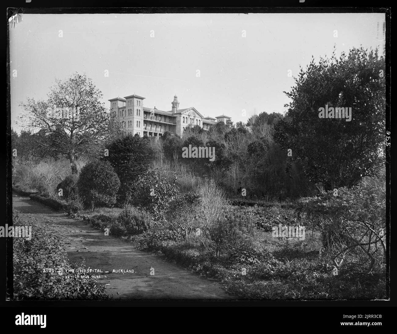 L'ospedale di Auckland Foto Stock