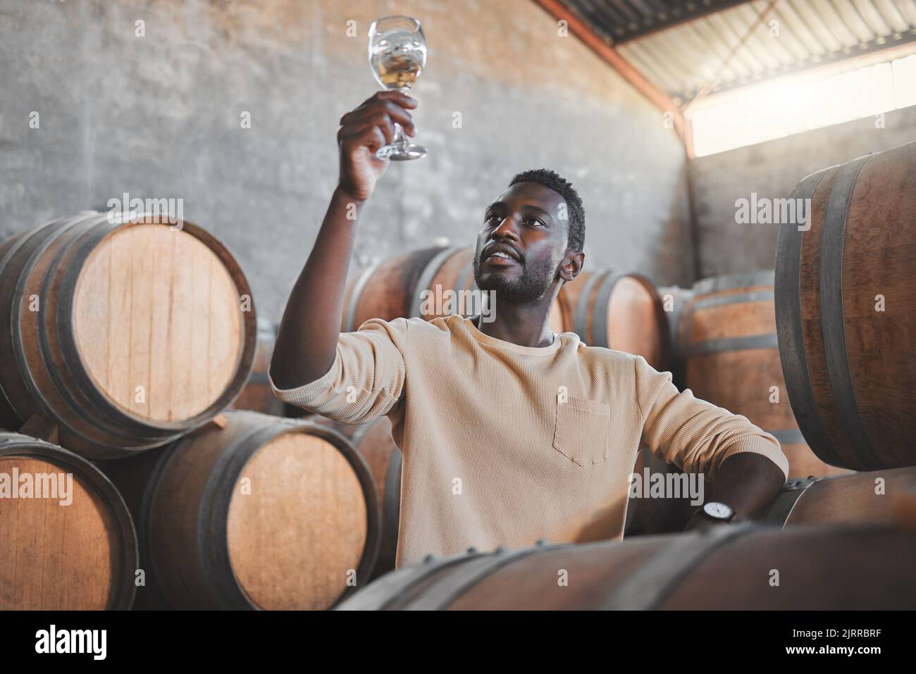 Esperto di vino o imprenditore con bicchiere durante la prova di degustazione in cantina o in distilleria in magazzino. Lavoratore di agricoltura nero in produzione di alcool Foto Stock