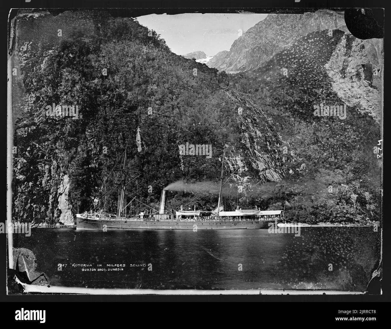 'Rotorua' a Milford Sound Foto Stock