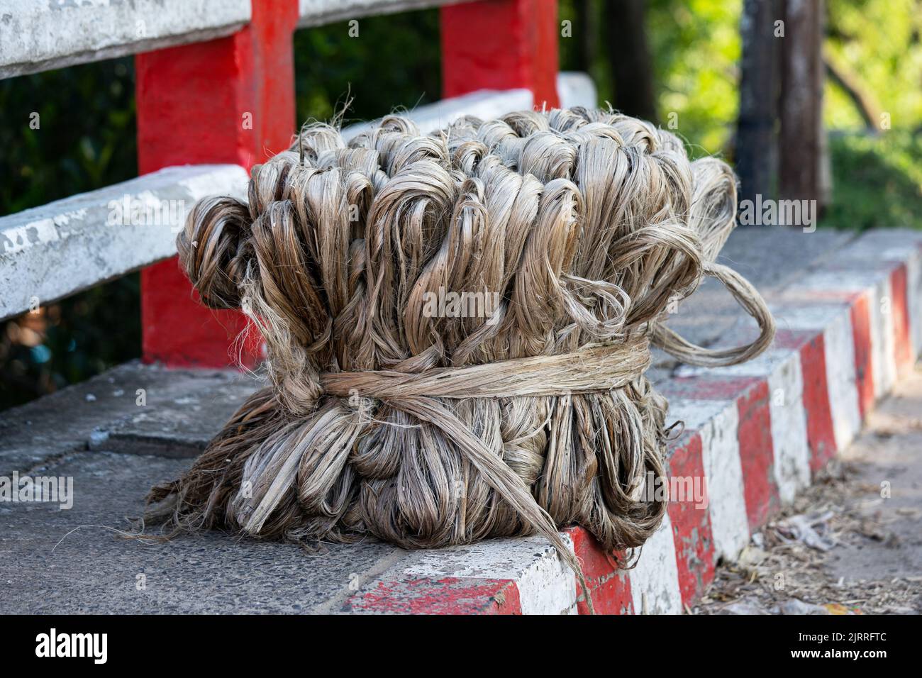 Fibra vegetale di iuta, fibra di iuta grezza appesa Foto Stock