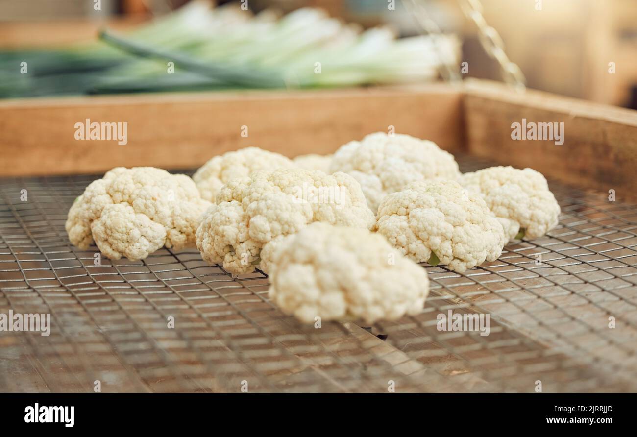 Agricoltura Cauliflower ortaggi per la nutrizione, la sostenibilità e la salute da vicino a un'azienda agricola o un mercato agricolo rispettoso dell'ambiente. Campagna sostenibile Foto Stock