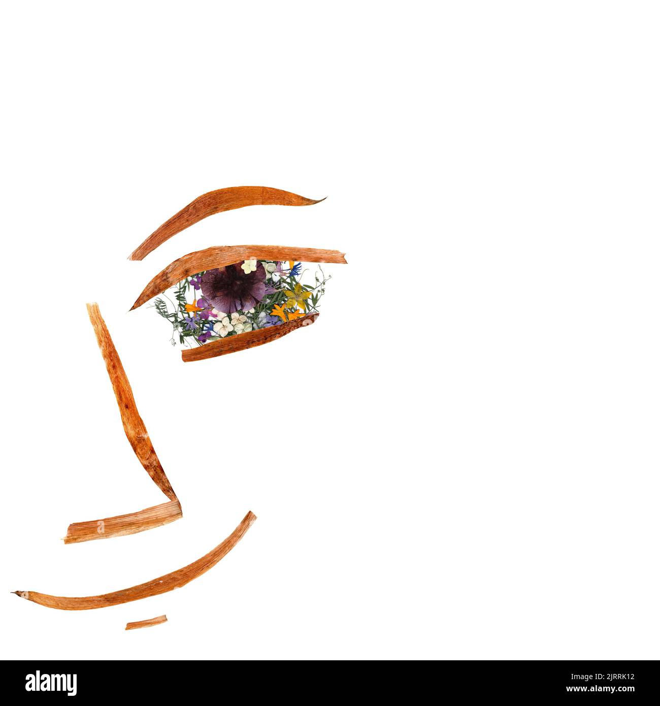 Applicazione, faccia fatta di fiori sprementi secchi e di piccoli e delicati piselli dolci, celandina gialla, aquilegia reale multicolore, fiore colonnino Foto Stock