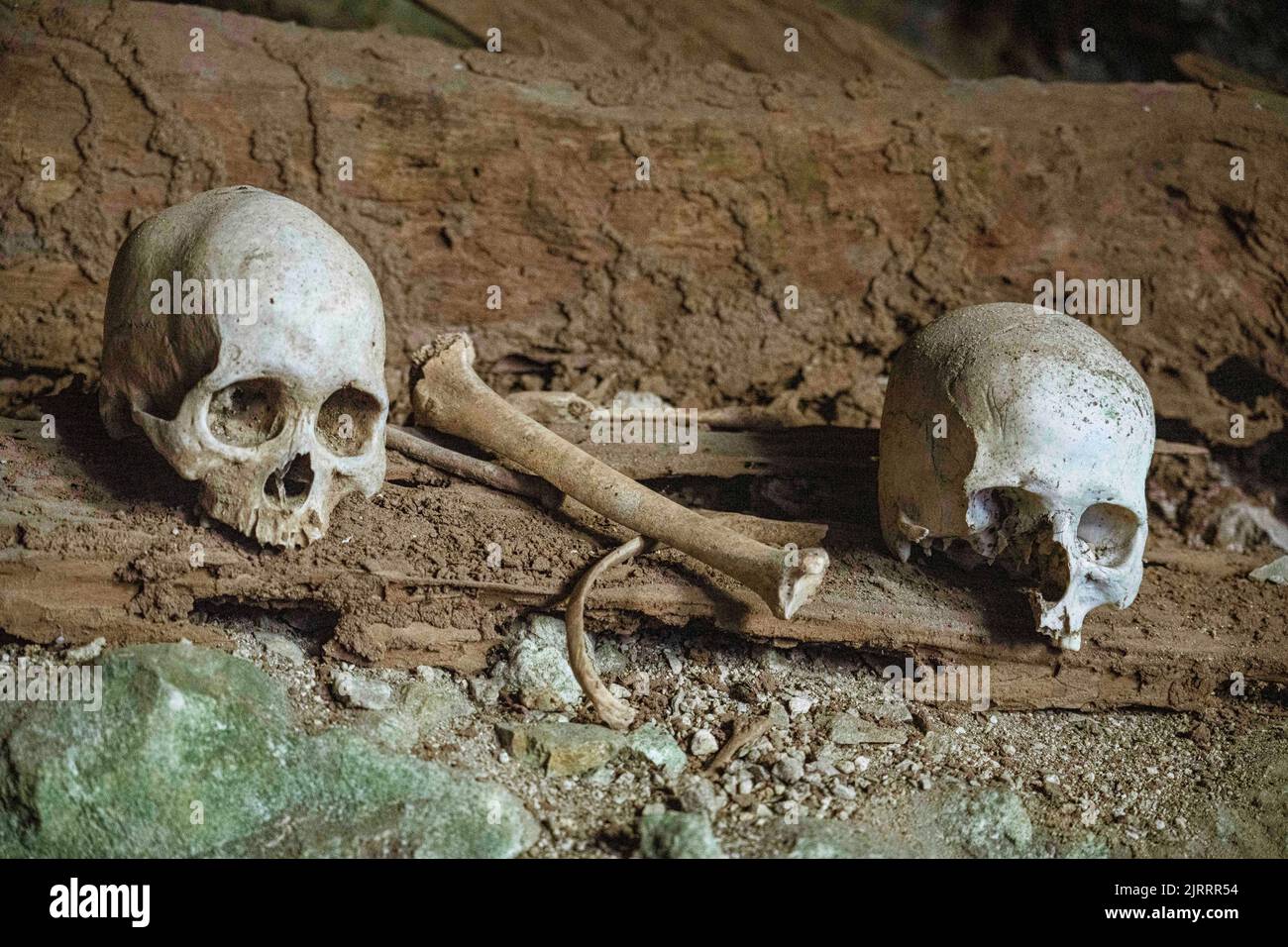 Indonesia, 13 2022 giugno - i teschi nelle grotte di sepoltura londinesi custodischeranno le caserelle dei morti per centinaia di anni. Foto Stock
