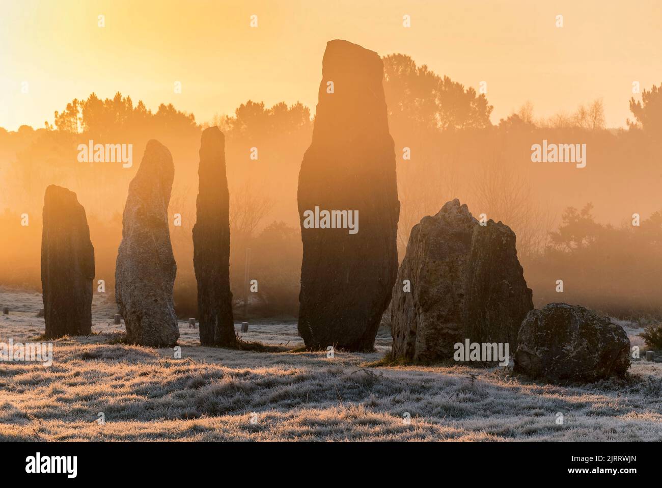 Sito megalitico di Saint-Just (Bretagna, Francia nord-occidentale) sotto la nebbia invernale. Megaliti attraverso i fossati di Cojoux e l'alba sopra lo stand Foto Stock