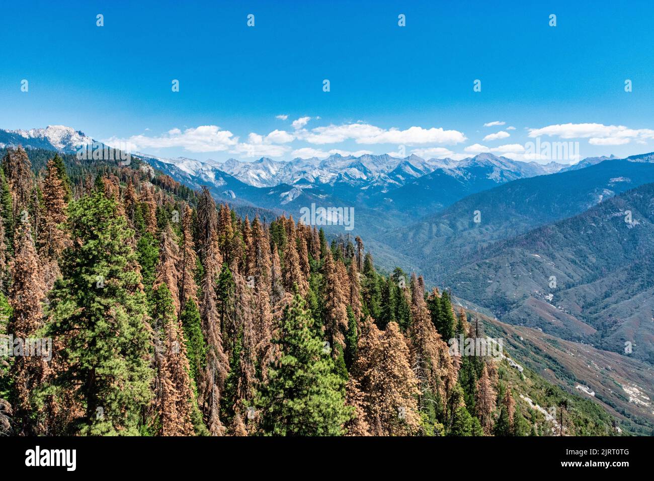 Un'immagine maestosa di una catena montuosa a strati densamente boschiva nel Sequoia National Park negli Stati Uniti Foto Stock