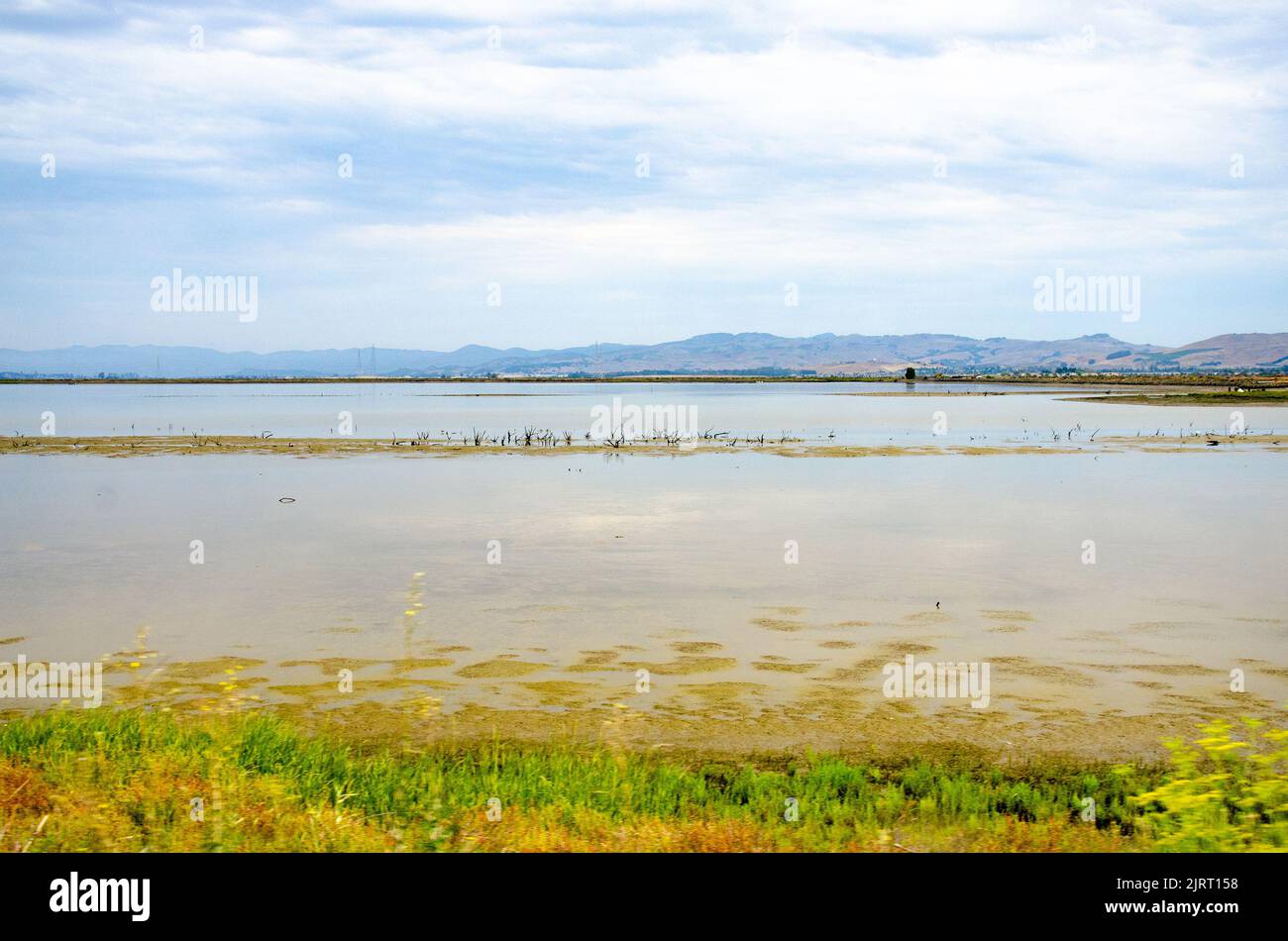 Zone umide in California, USA Foto Stock