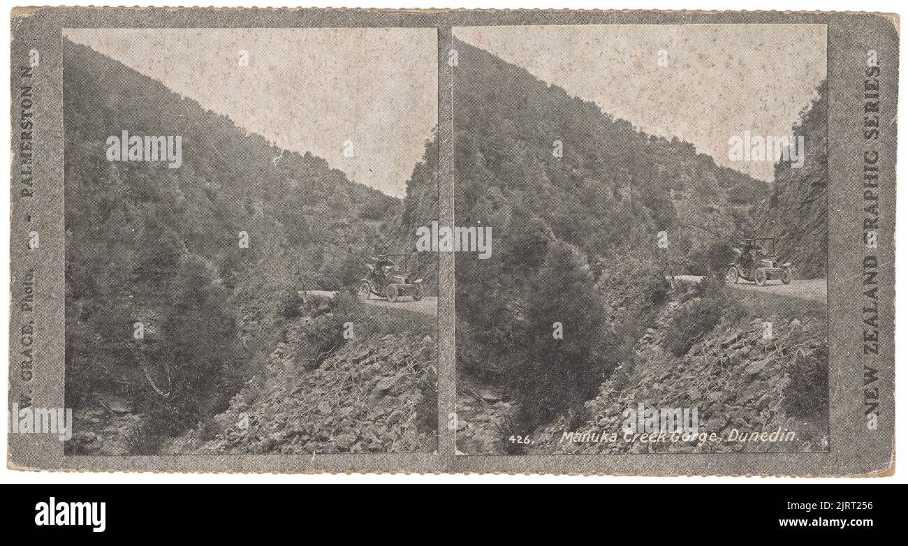 Manuka Creek Gorge, Dunedin, 1890s, Dunedin, di W Grace. Foto Stock
