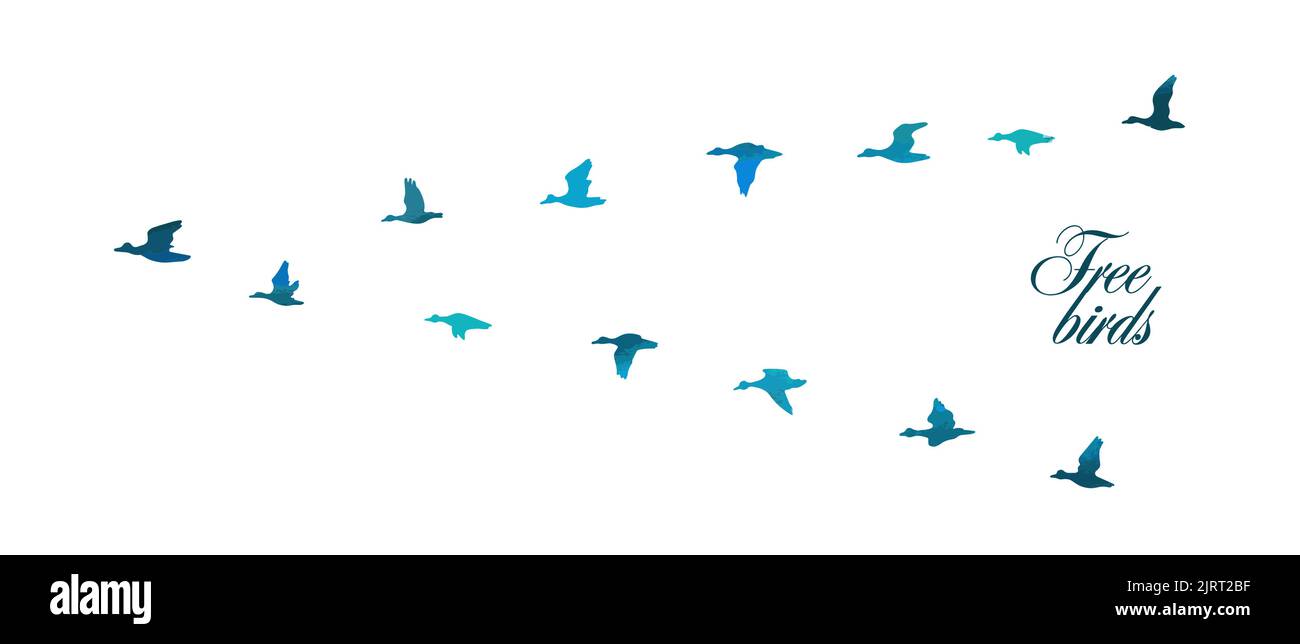 Silhouette di anatra blu volante. Illustrazione vettoriale Illustrazione Vettoriale